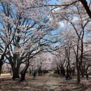 ヒメ日記 2025/05/03 15:07 投稿 みね 渋谷じゃっくす