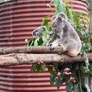 ヒメ日記 2025/07/22 22:12 投稿 みね 渋谷じゃっくす