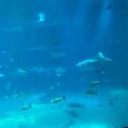 ヒメ日記 2025/10/20 00:14 投稿 みね 渋谷じゃっくす