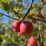 ヒメ日記 2025/10/20 22:27 投稿 みね 渋谷じゃっくす