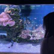 ヒメ日記 2025/11/17 12:28 投稿 みね 渋谷じゃっくす