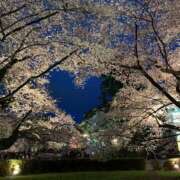 ヒメ日記 2025/11/18 01:04 投稿 みね 渋谷じゃっくす