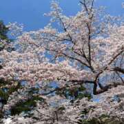 ヒメ日記 2025/12/06 00:32 投稿 みね 渋谷じゃっくす