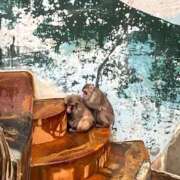 ヒメ日記 2026/01/26 11:01 投稿 みね 渋谷じゃっくす