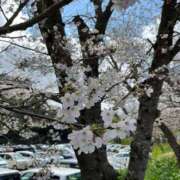 みね 春だね🌸♡ 渋谷じゃっくす