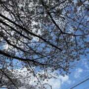 みね 次は〜🪄 渋谷じゃっくす