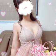 ヒメ日記 2025/07/31 15:02 投稿 櫻井 あまね セレブリフレ水戸