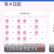 ヒメ日記 2025/11/29 23:16 投稿 つくし 東京妻next (京都グループ)