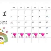 ヒメ日記 2026/01/25 15:26 投稿 つくし 東京妻next