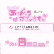 ヒメ日記 2026/02/13 11:56 投稿 つくし 東京妻next