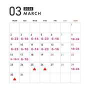 ヒメ日記 2026/02/26 09:36 投稿 つくし 東京妻next