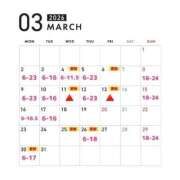 ヒメ日記 2026/03/01 15:46 投稿 つくし 東京妻next