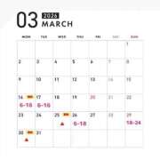 ヒメ日記 2026/03/14 20:26 投稿 つくし 東京妻next