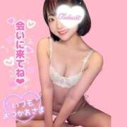 ヒメ日記 2026/07/03 08:26 投稿 つくし 東京妻next