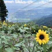 ヒメ日記 2025/07/28 16:44 投稿 ゆきな 神戸3040（神戸サーティフォーティ）