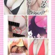 ヒメ日記 2026/01/12 09:55 投稿 さら 山口周南ちゃんこ