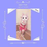 ヒメ日記 2025/08/13 10:39 投稿 はるの 即アポ奥さん～静岡店～