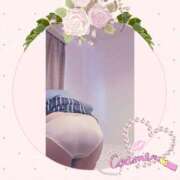 ヒメ日記 2026/03/17 17:09 投稿 はるの 即アポ奥さん～静岡店～