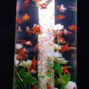 ヒメ日記 2025/12/04 11:19 投稿 かなう 即アポ奥さん～静岡店～