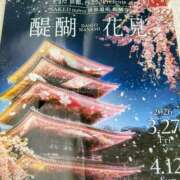 ヒメ日記 2026/03/05 11:29 投稿 かなう 即アポ奥さん～静岡店～