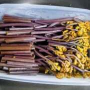 ヒメ日記 2026/04/09 20:49 投稿 かなう 即アポ奥さん～静岡店～