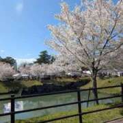 まち お久しぶりです 即アポ奥さん～静岡店～