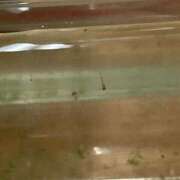 ヒメ日記 2025/05/24 09:49 投稿 ひろ 即アポ奥さん～静岡店～