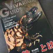 ヒメ日記 2026/02/22 04:29 投稿 ひろ 即アポ奥さん～静岡店～