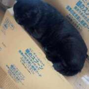 ヒメ日記 2026/02/23 10:38 投稿 ひろ 即アポ奥さん～静岡店～