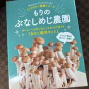 ヒメ日記 2026/03/03 12:39 投稿 ひろ 即アポ奥さん～静岡店～