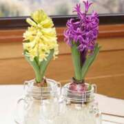 ヒメ日記 2026/03/06 07:39 投稿 ひろ 即アポ奥さん～静岡店～