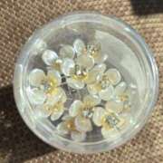 ヒメ日記 2026/03/12 13:29 投稿 ひろ 即アポ奥さん～静岡店～