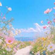 ヒメ日記 2025/05/01 19:29 投稿 しほ 即アポ奥さん～静岡店～