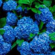 ヒメ日記 2025/05/23 08:49 投稿 しほ 即アポ奥さん～静岡店～