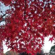 ヒメ日記 2025/11/24 17:40 投稿 るい 梅田アバンチュール