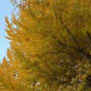 ヒメ日記 2025/11/30 19:16 投稿 るい 梅田アバンチュール