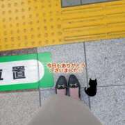 ヒメ日記 2025/05/11 05:00 投稿 中山 新宿人妻城