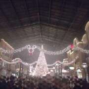 ヒメ日記 2025/11/19 11:39 投稿 中山 新宿人妻城