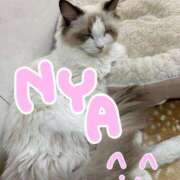 ヒメ日記 2025/02/11 23:18 投稿 ゆめ ドマーニ