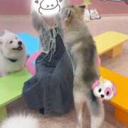 ヒメ日記 2026/05/23 07:15 投稿 ゆめ ドマーニ