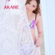 ヒメ日記 2025/08/19 12:27 投稿 あかね Lounge Yoki東京