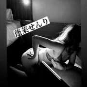 ヒメ日記 2024/12/17 02:13 投稿 蓬莱　せんり エテルナ京都