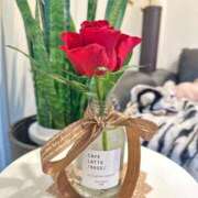 ヒメ日記 2025/02/22 06:43 投稿 蓬莱　せんり エテルナ京都