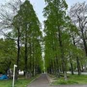 ヒメ日記 2025/03/02 14:07 投稿 蓬莱　せんり エテルナ京都