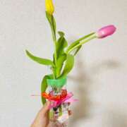 ヒメ日記 2025/03/03 13:37 投稿 蓬莱　せんり エテルナ京都