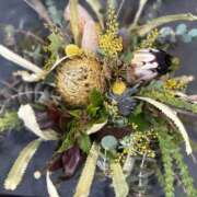 ヒメ日記 2025/03/09 14:02 投稿 蓬莱　せんり エテルナ京都