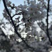 ヒメ日記 2025/03/31 02:03 投稿 蓬莱　せんり エテルナ京都