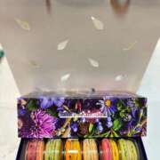 ヒメ日記 2025/04/10 17:37 投稿 蓬莱　せんり エテルナ京都