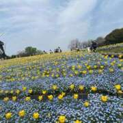 ヒメ日記 2025/04/22 14:32 投稿 蓬莱　せんり エテルナ京都