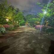 ヒメ日記 2025/05/07 14:10 投稿 蓬莱　せんり エテルナ京都